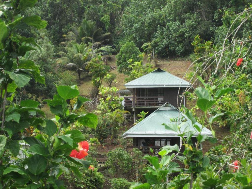 Pension Temaeva Opoa Quarto foto